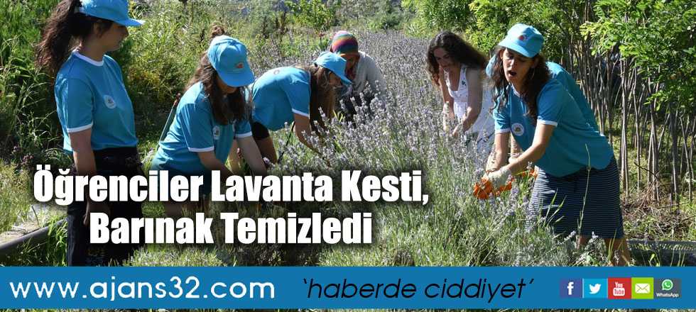Öğrenciler Lavanta Kesti, Barınak Temizledi