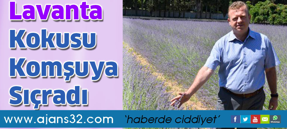 Lavanta Kokusu Komşuya Sıçradı