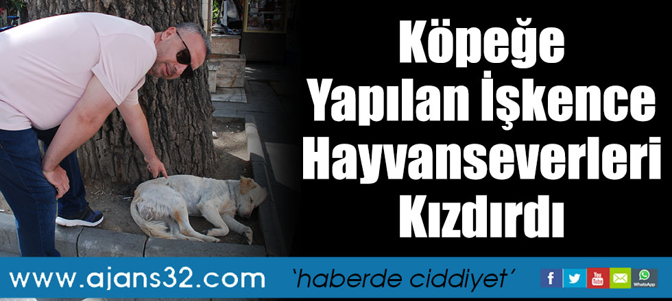 Köpeğe Yapılan İşkence Hayvanseverleri Kızdırdı