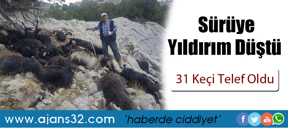Sürüye Yıldırım Düştü: 31 Keçi Telef Oldu