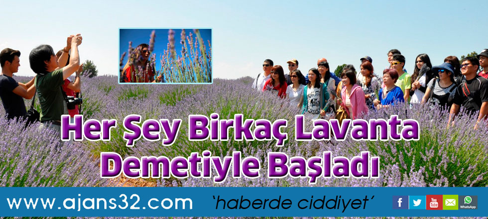Her şey birkaç lavanta  demetiyle başladı