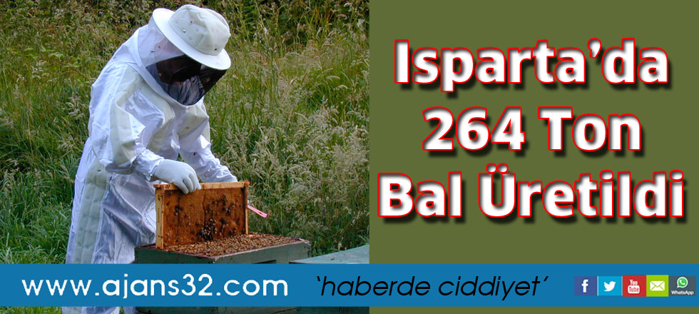 Isparta’da 264   ton bal üretildi