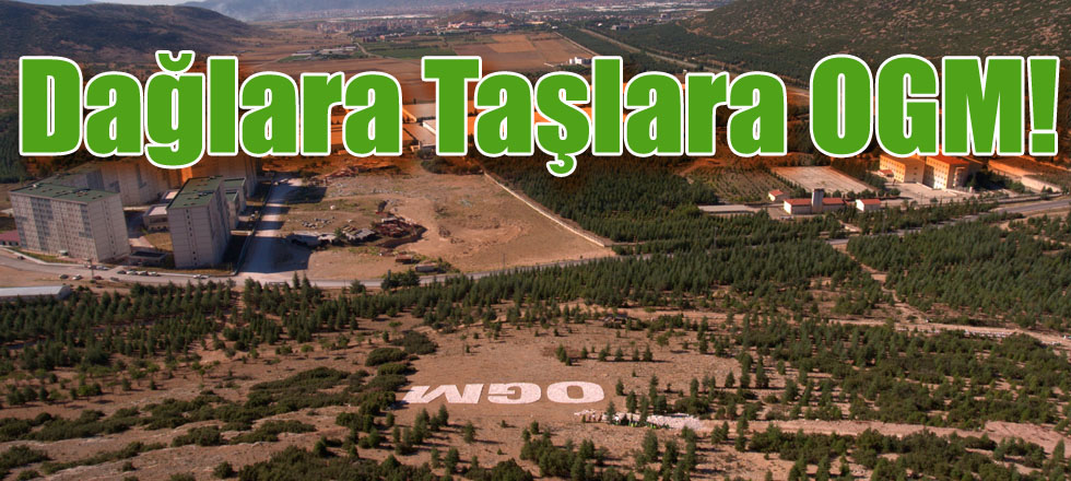 Dağlara Taşlara OGM!