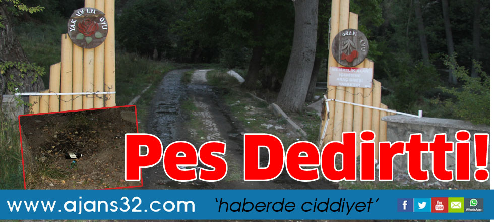 Pes dedirtti!