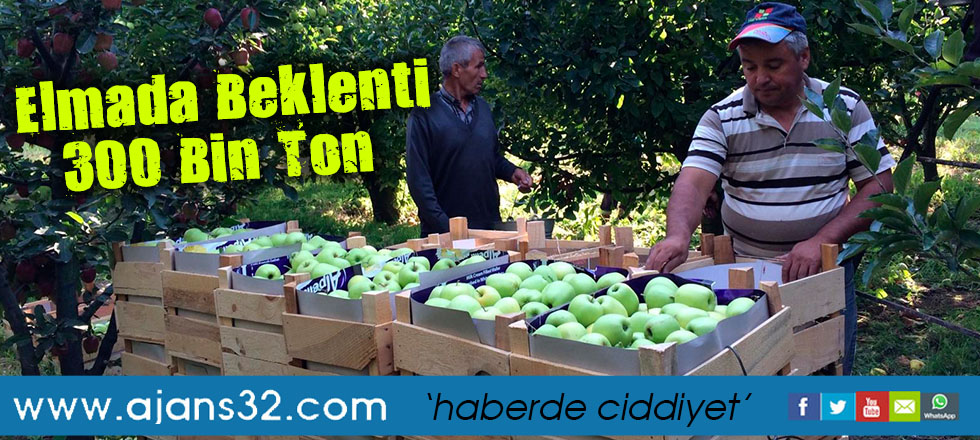 Elmada Beklenti 300 Bin Ton