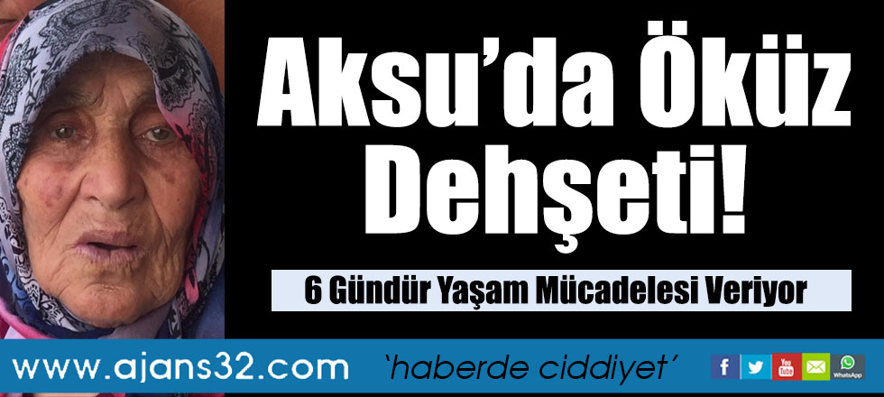 Aksu’da Öküz Dehşeti!