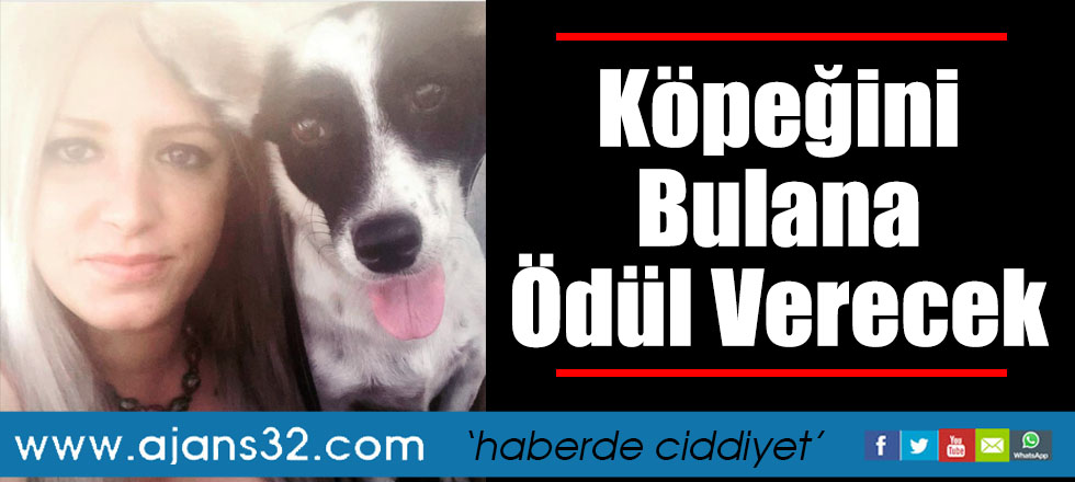 Köpeğini Bulana 500 Lira Ödül Verecek