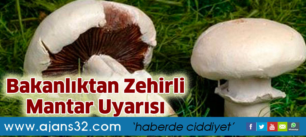 Bakanlıktan zehirli mantar uyarısı