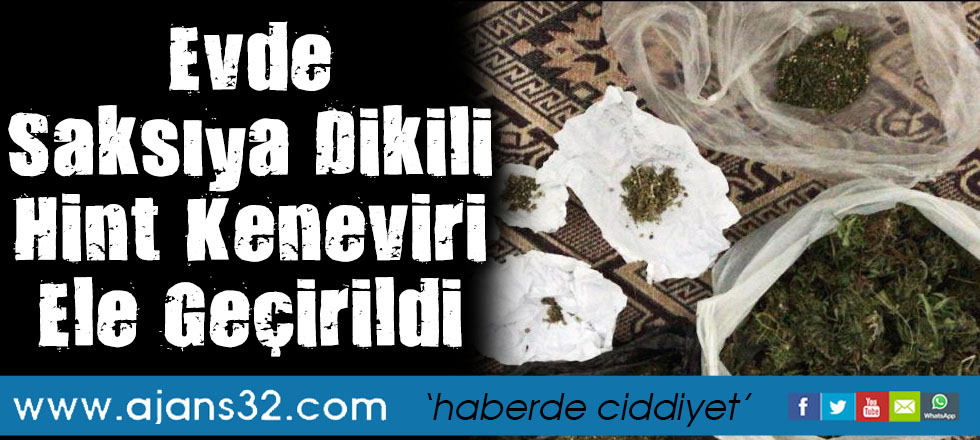 Evde Saksıya Dikili Hint Keneviri Ele Geçirildi