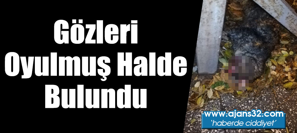 Gözleri Oyulmuş Halde Bulundu