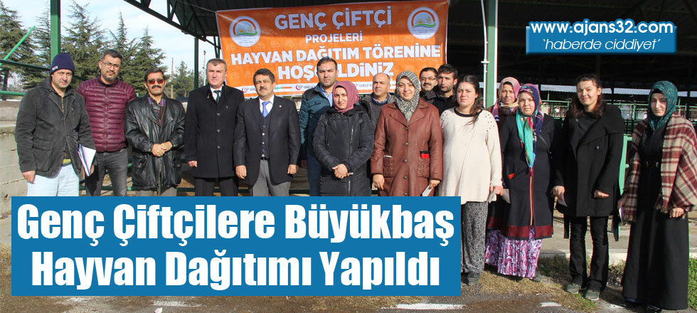 Genç Çiftçilere Büyükbaş Hayvan Dağıtımı Yapıldı