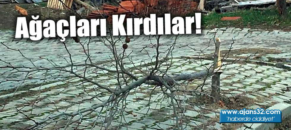 Ağaçları Kırdılar!