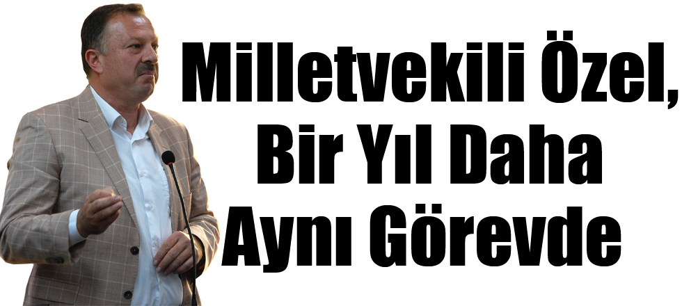 Milletvekili Özel, Bir Yıl Daha Aynı Görevde