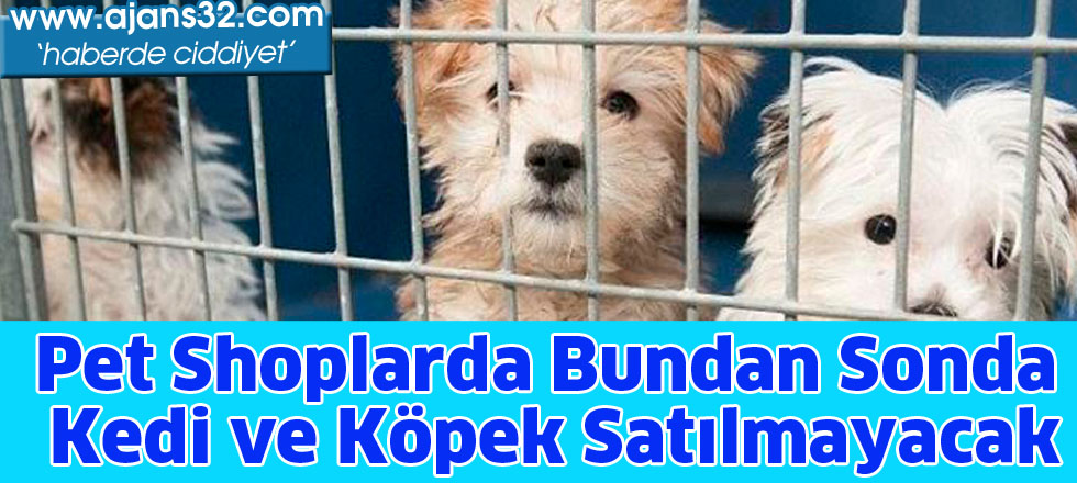 Pet Shoplarda bundan sonda   Kedi ve Köpek satılmayacak