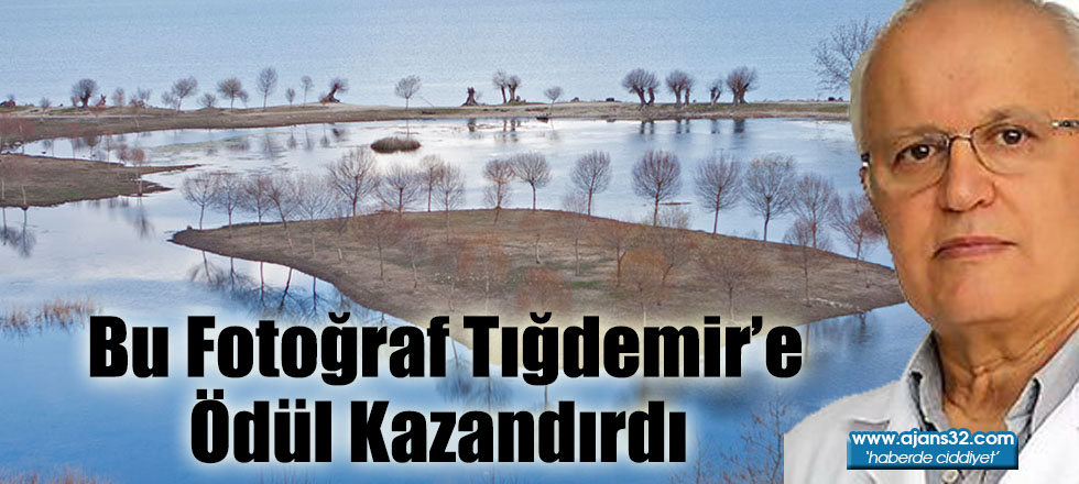 Bu Fotoğraf Dr. Mehmet Tığdemir’e Ödül Kazandırdı