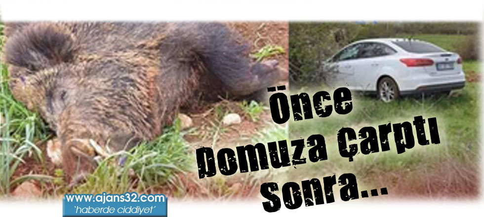 Önce Domuza Çarptı Sonra...