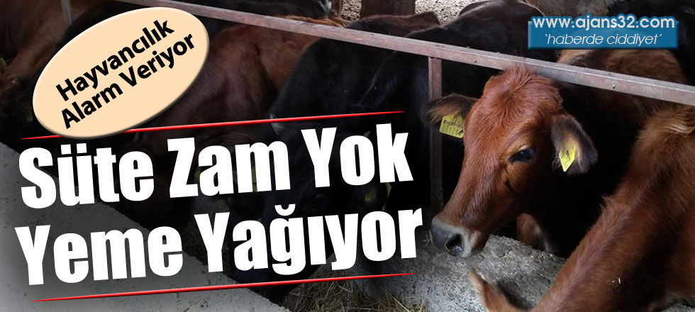 Süte Zam Yok Yeme Yağıyor