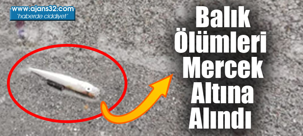 Balık Ölümleri Mercek Altına Alındı