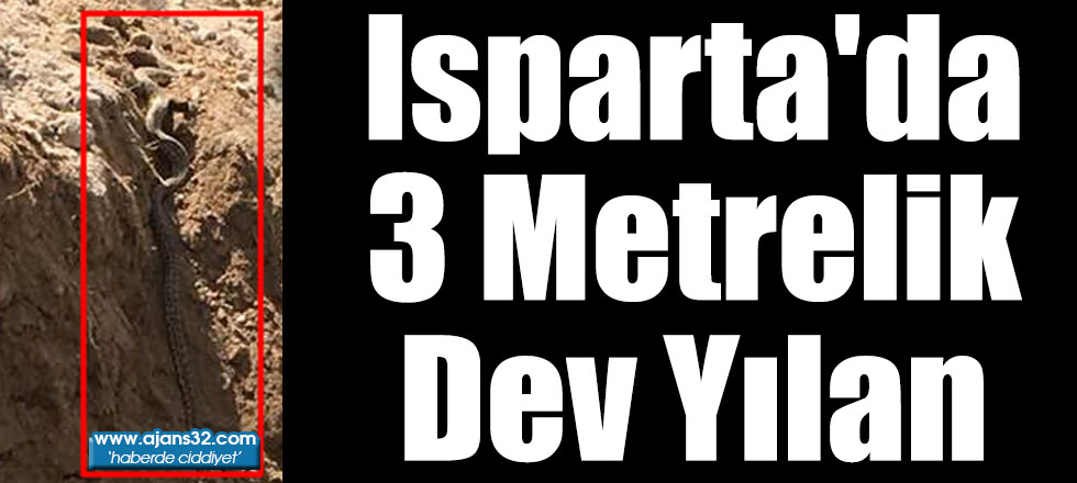 Isparta'da 3 Metrelik Dev Yılan