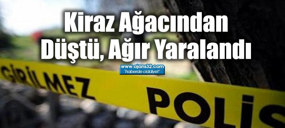 Kiraz Ağacından Düştü, Ağır Yaralandı