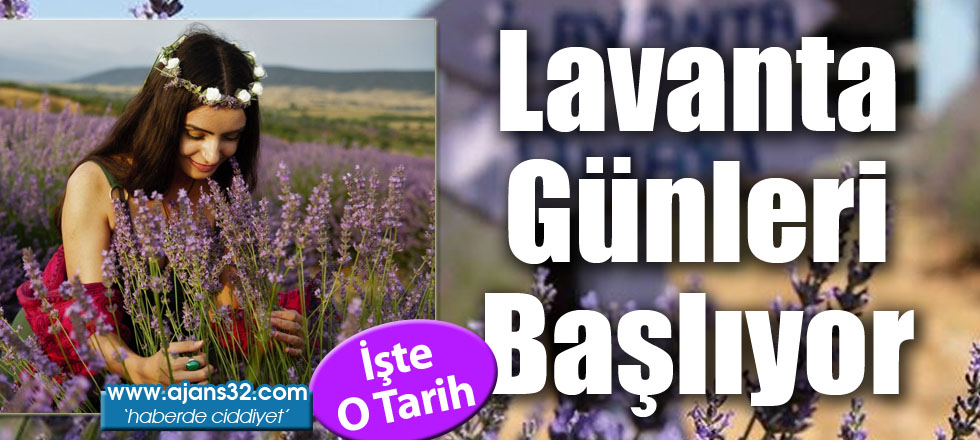 Lavanta Günleri Başlıyor