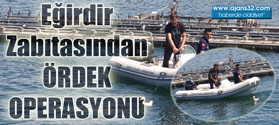 Eğirdir Zabıtasından Ördek Operasyonu