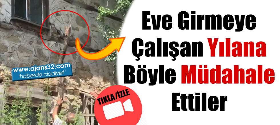 Eve Girmeye Çalışan Yılana Böyle Müdahale Ettiler