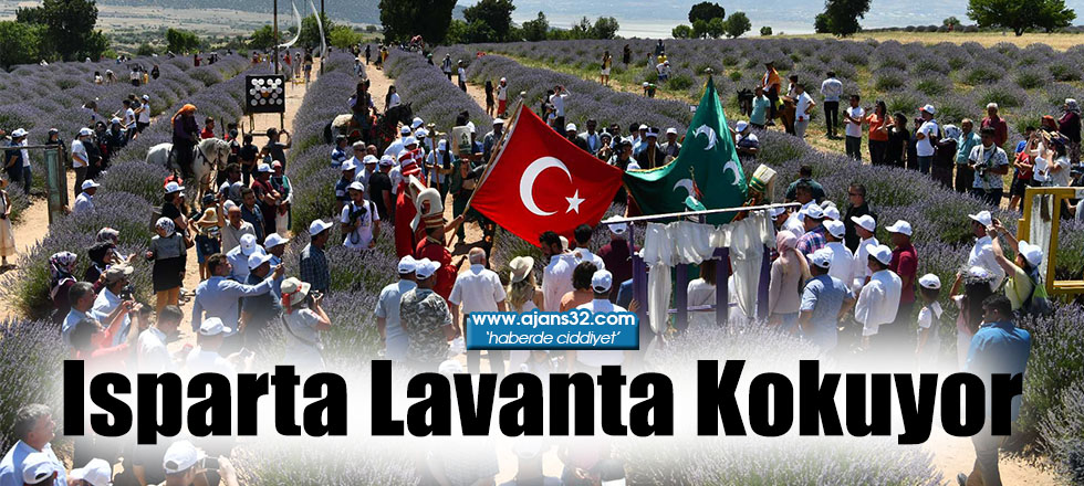 Isparta Lavanta Kokuyor