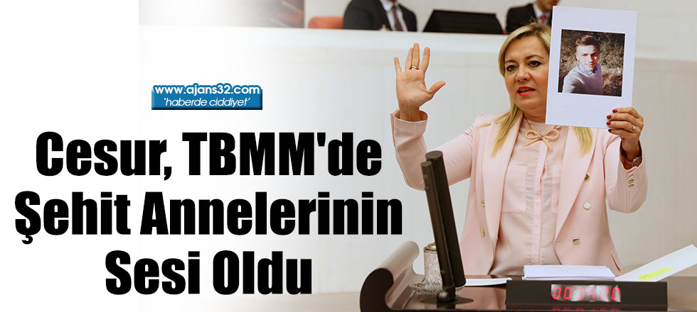 Cesur, TBMM'de Şehit Annelerinin Sesi Oldu