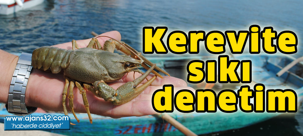 Kerevite sıkı denetim