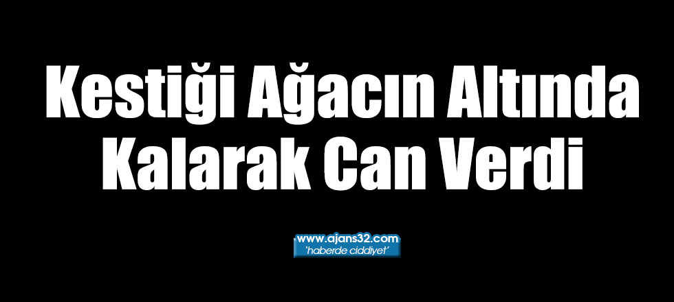 Kestiği Ağacın Altında Kalarak Can Verdi