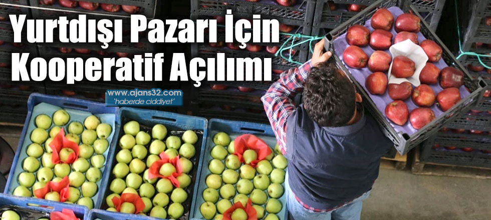 Yurtdışı Pazarı İçin Kooperatif Açılımı