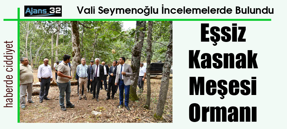 Eşsiz Kasnak Meşesi Ormanı