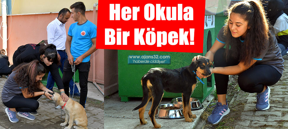 Her Okula Bir Köpek!