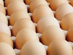 Yumurtanın Fiyatı Tavan Yaptı