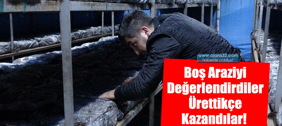 Boş Araziyi Değerlendirdiler Ürettikçe Kazandılar!