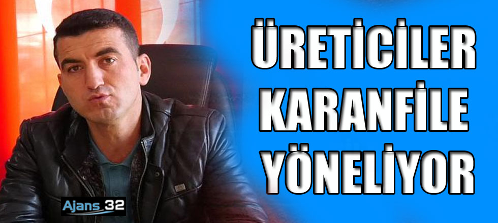 Üreticiler Karanfile Yöneliyor