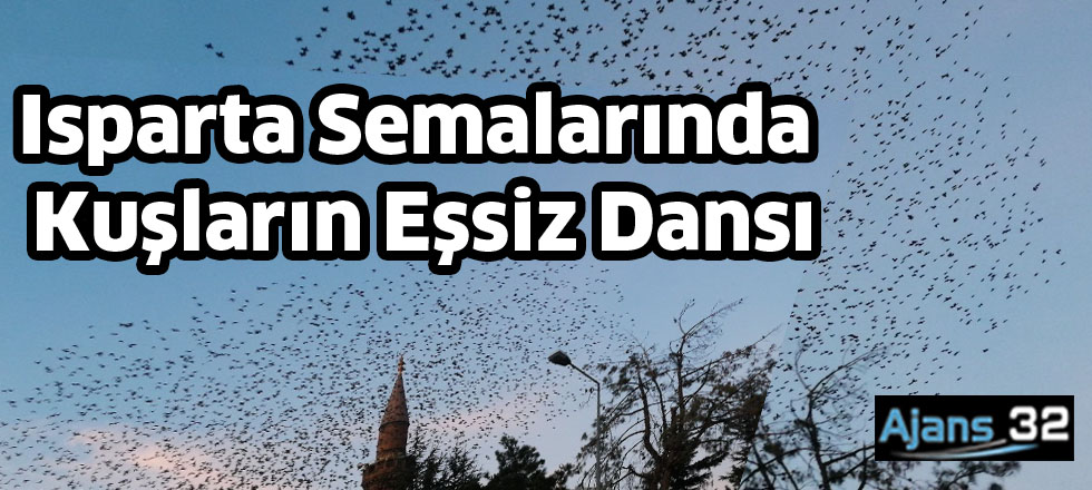 Isparta Semalarında Kuşların Eşsiz Dansı