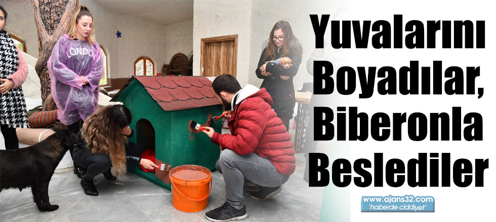 Yuvalarını Boyadılar, Biberonla Beslediler