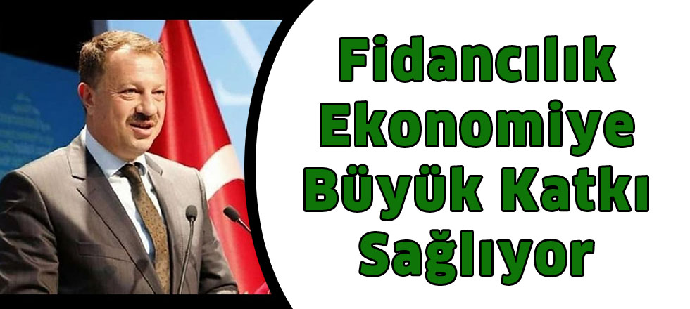 Fidancılık Ekonomiye Büyük Katkı Sağlıyor