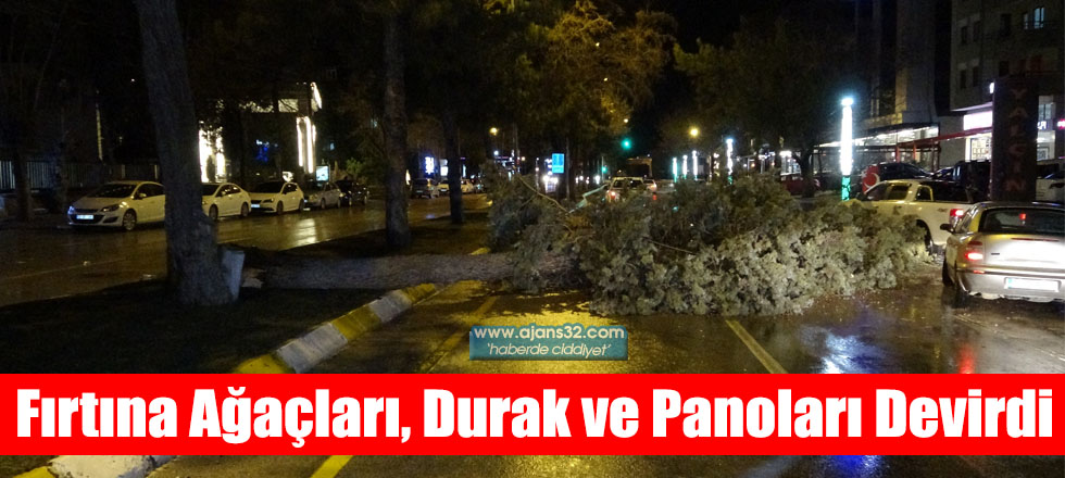 Ffırtına Ağaçları, Durak ve Panoları Devirdi