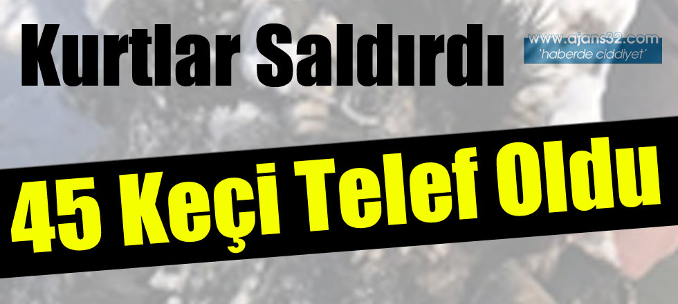 45 Keçi Telef Oldu