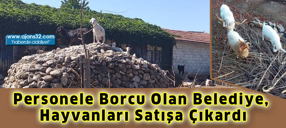 Personele Borcu Olan Belediye, Hayvanları Satışa Çıkardı