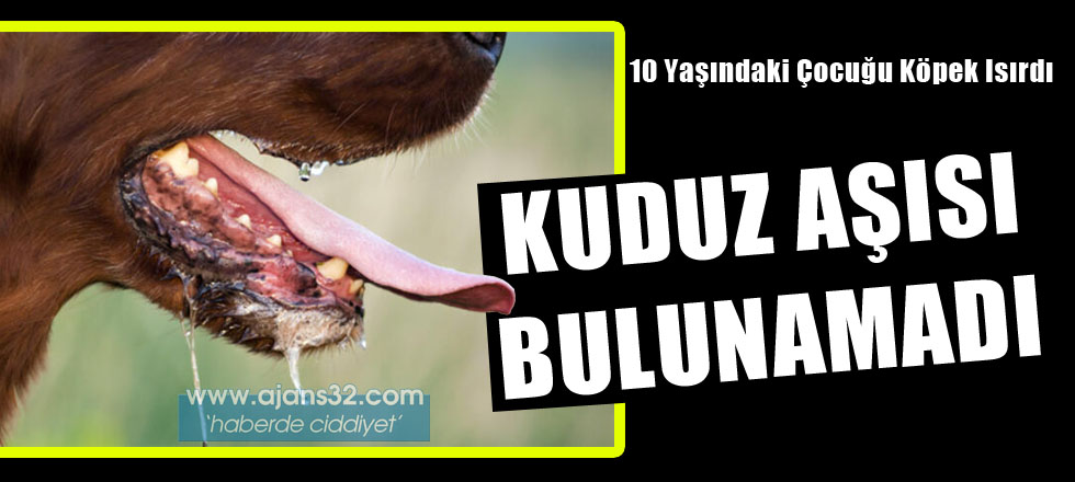 Çocuğu Köpek Isırdı / Kuduz Aşısı Bulunamadı