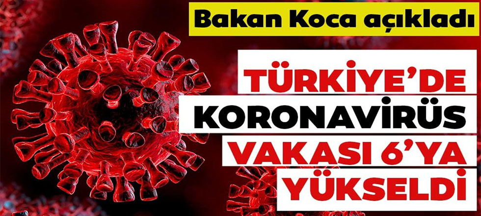 Türkiye'de Koronavirüs Vaka Sayısı 6 Oldu