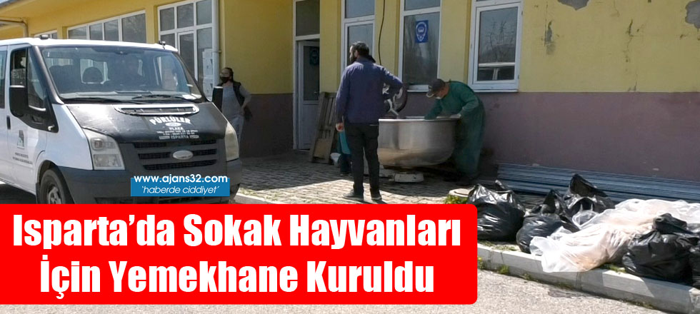 Isparta’da Sokak Hayvanları İçin Yemekhane Kuruldu