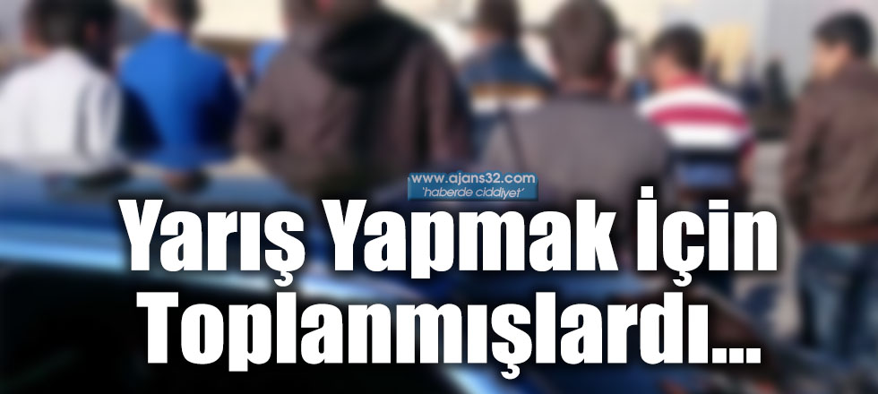 Yarış Yapmak İçin Toplanmışlardı...