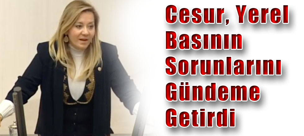 Cesur, Yerel Basının Sorunlarını Gündeme Getirdi