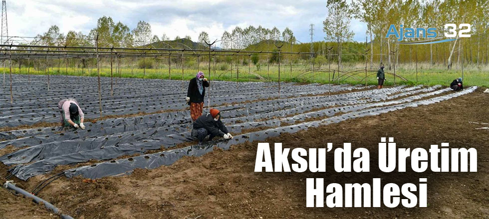 Aksu'da Çilek Üretim Hamlesi