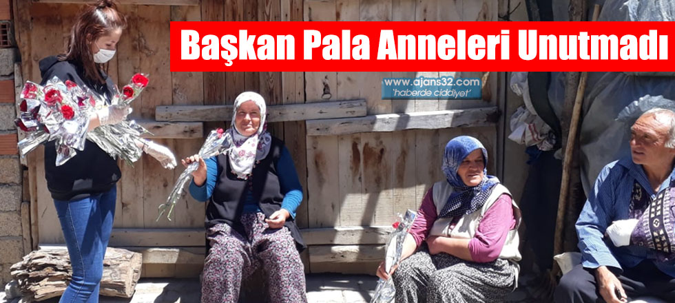 Başkan Pala Anneleri Unutmadı